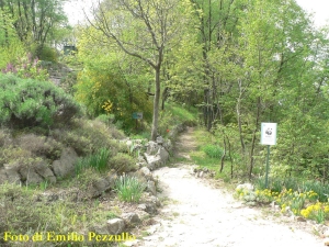 Giardino botanico